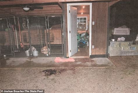 murdaugh murder crime scene pictures|Chilling photos reveal bloody crime scene where Maggie and Paul ...